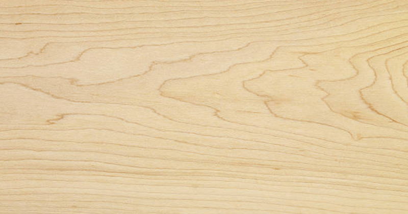 jenis kayu untuk furniture yang populer