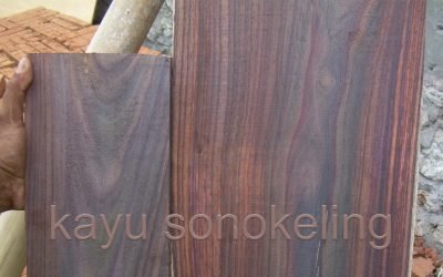 Mebel Kayu Sonokeling: Si Hitam Eksotis yang Harganya Kalahkan Jati